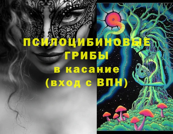 mdpv Пересвет