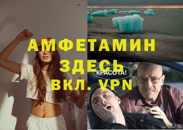 сатива Переславль-Залесский