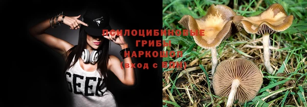 сатива Переславль-Залесский