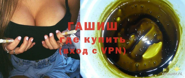 СК Дубна