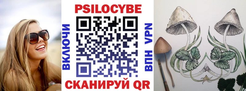 наркотики  Кстово  Галлюциногенные грибы GOLDEN TEACHER 