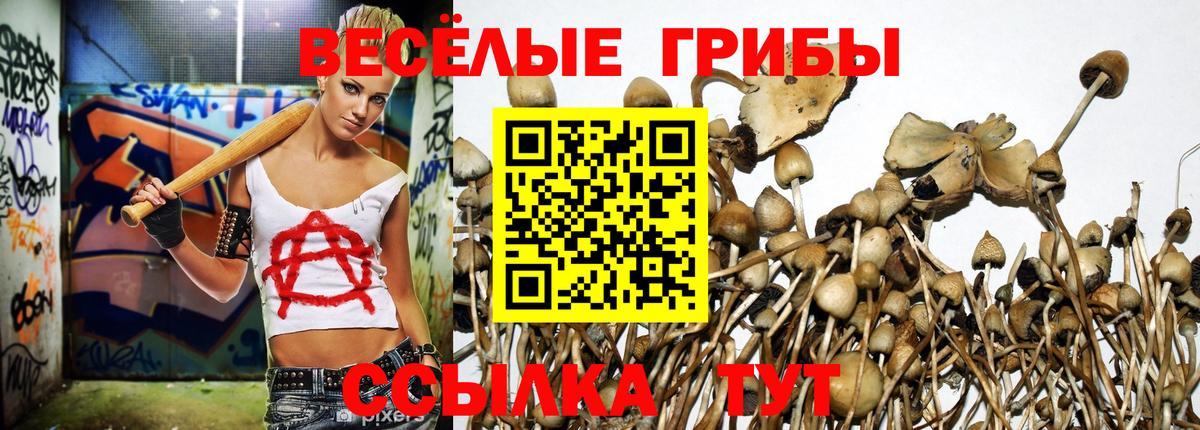 Кстово  Псилоцибиновые грибы мухоморы  цены наркотик  Вход с VPN 
