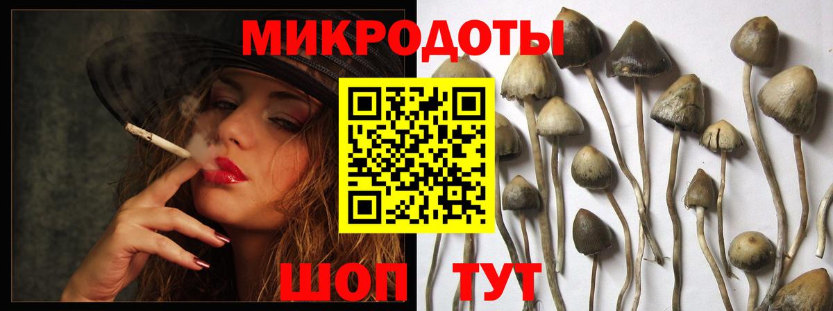 Галлюциногенные грибы Magic Shrooms  Кстово  Псилоцибиновые грибы Cubensis 